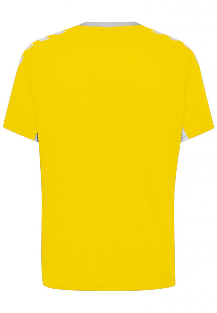Футболка CORE TEAM JERSEY S/S 203-436-5001-L Взрослые Мужской ЖЕЛТЫЙ