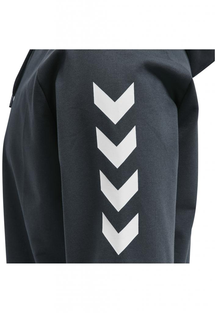 Худи HMLGO COTTON HOODIE 203-508-8571-M Взрослые Мужской