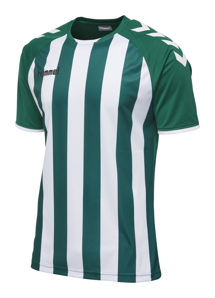Футболка CORE STRIPED SS JERSEY 003-755-6131-L Взрослые Мужской ЗЕЛЁНЫЙ