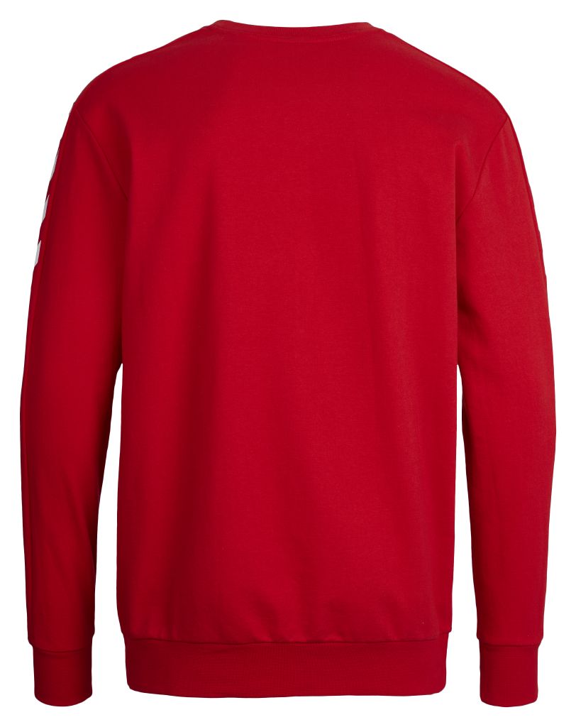 Світшоти дитячий CORE COTTON SWEAT 136-894-3062-140-152 Підлітки і діти Унісекс ЧЕРВОНИЙ