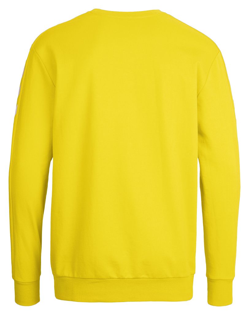 Свитшот детский CORE COTTON SWEAT 136-894-5001-164-176 Подростки и дети Унисекс ЖЕЛТЫЙ