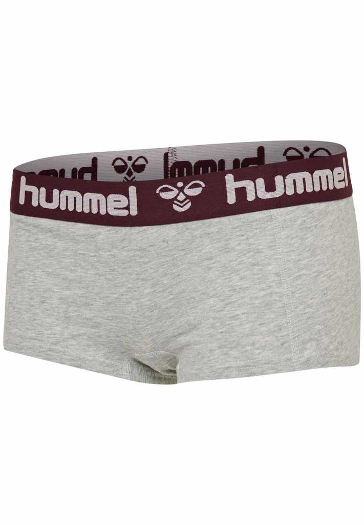 Хіпстери MAYA 2PACK HIPSTERS 203-851-3333-XXL Дорослі Жіноча РОЖЕВИЙ