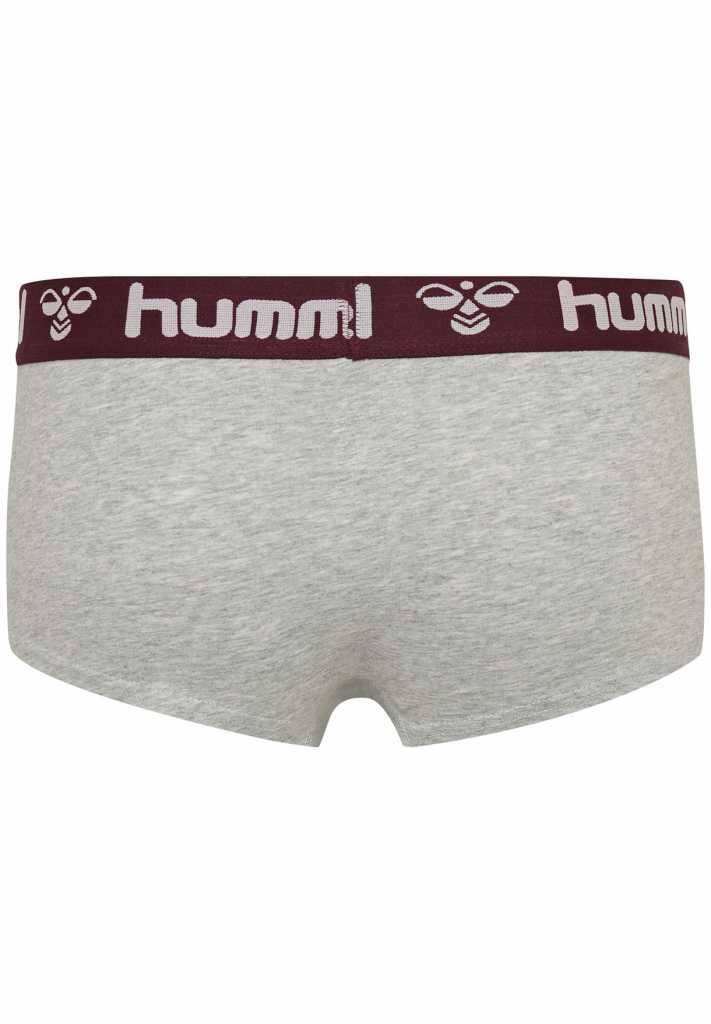 Хіпстери MAYA 2PACK HIPSTERS 203-851-3333-XXL Дорослі Жіноча РОЖЕВИЙ