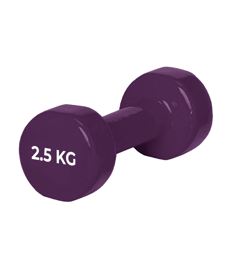 Гантель PowerPlay 4125 вінілова 2.5 кг Фіолетова