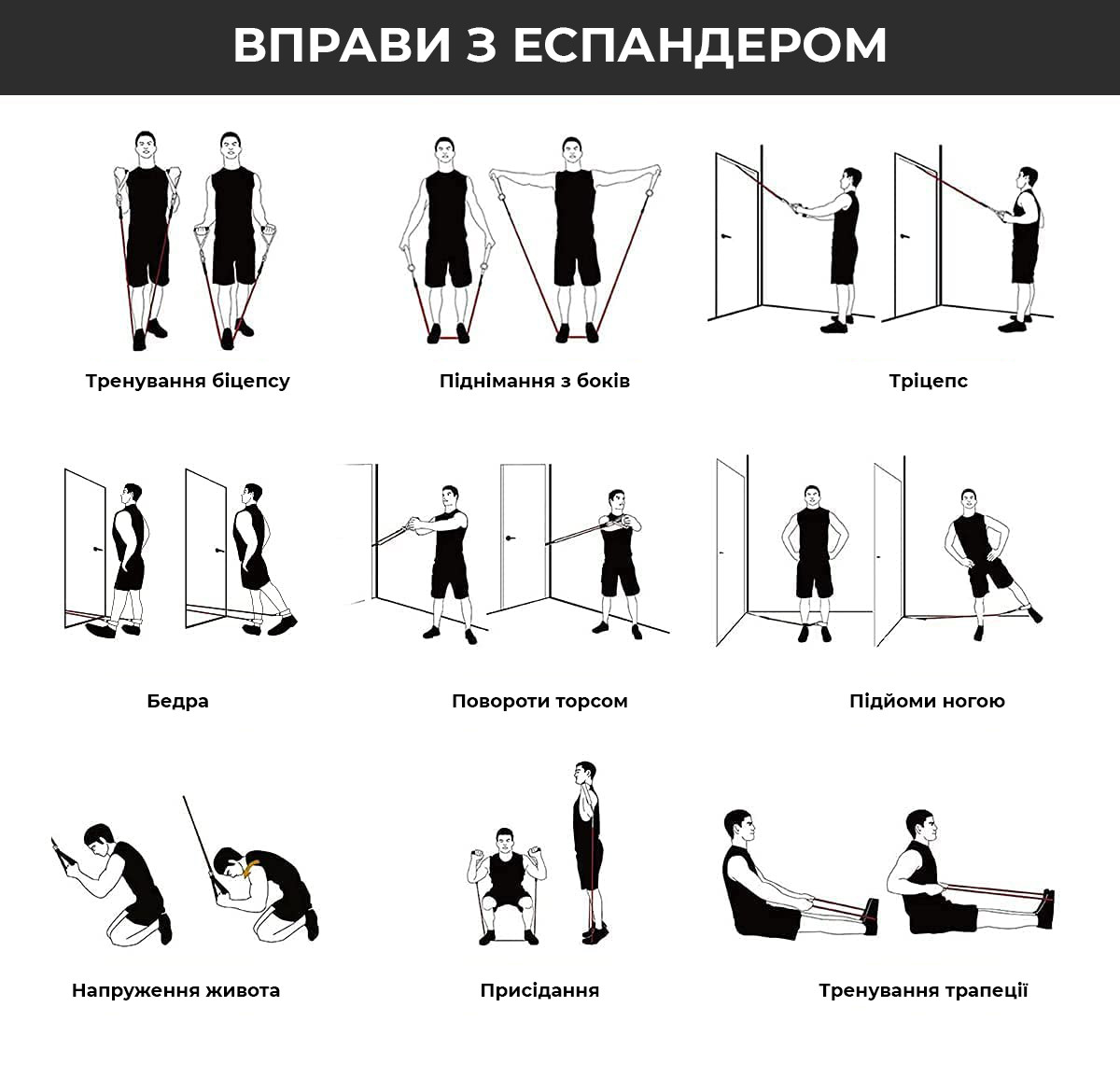 Универсальный набор трубчатых эспандеров Power System PS-4098 Ultimate Expander Set